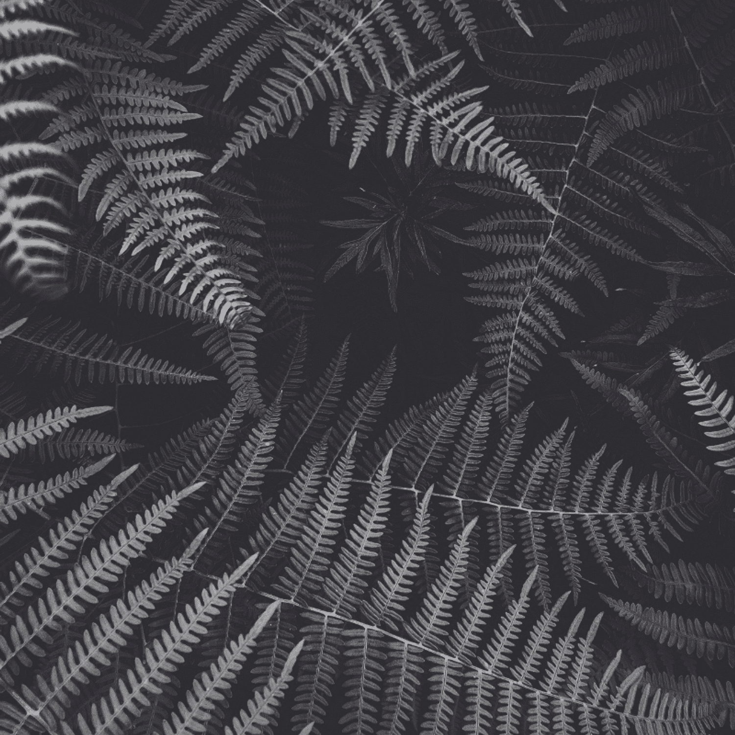 Portrait of Mark, a professional stylist at Hairitage Unisex, showcasing their expertise and style.