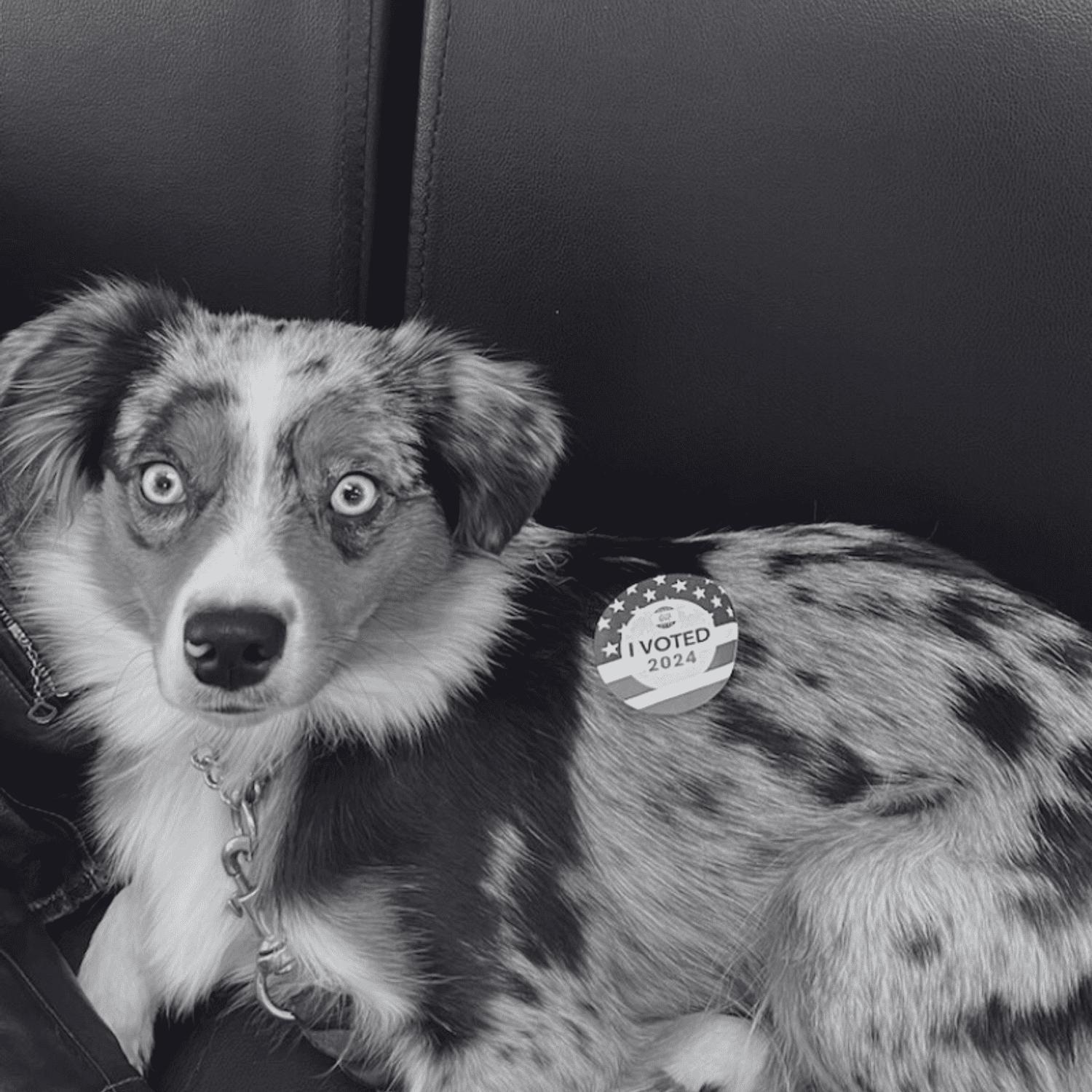 Portrait of Maple, a professional stylist at Hairitage Unisex, showcasing their expertise and style.